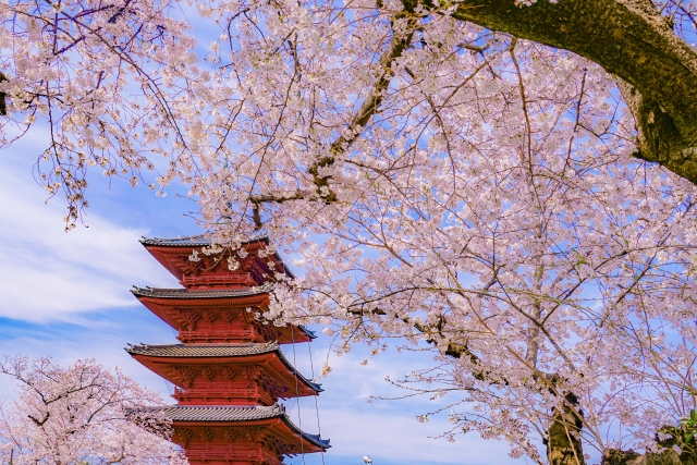 池上本門寺の花まつり