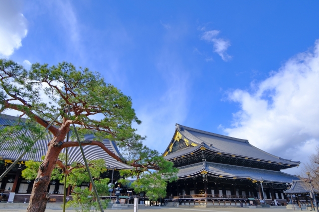 真宗会館の花まつり