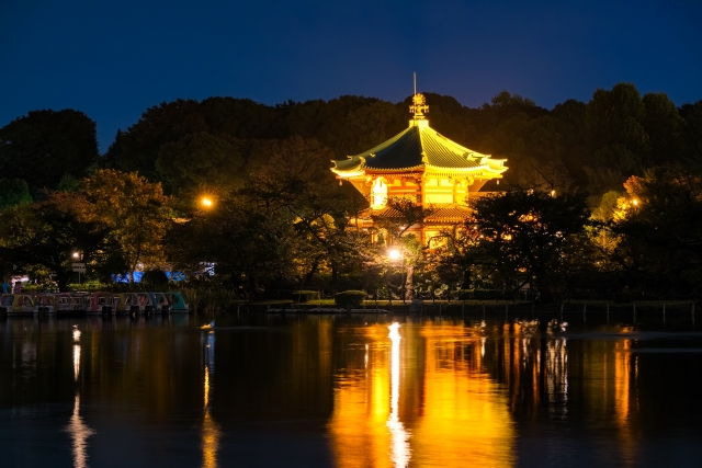 上野 不忍池 流灯会